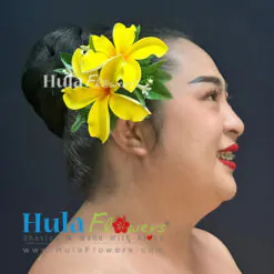 Plumeria hair clip