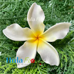 3.5" Foam Plumeria
