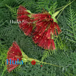 2.5” Nylon Red Lehua (S)
