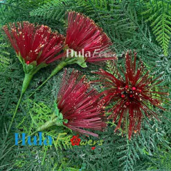 3” Nylon Red Lehua (M)
