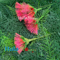 2.5” Nylon Pink Lehua (S)