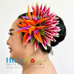 Bird of paradise Hair clip