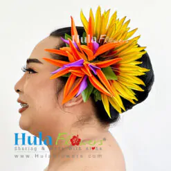 Bird of paradise Hair clip