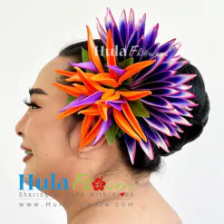Bird of paradise Hair clip