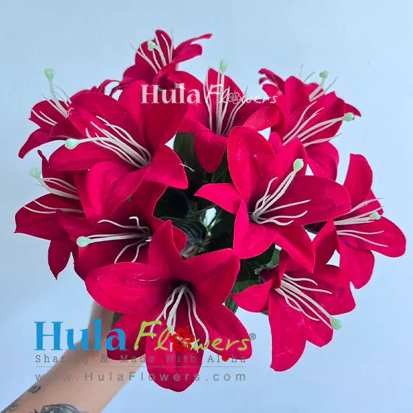Silk Lily on bush