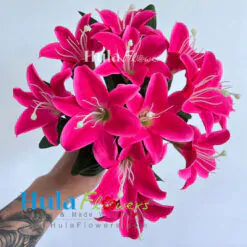 Silk Lily on bush