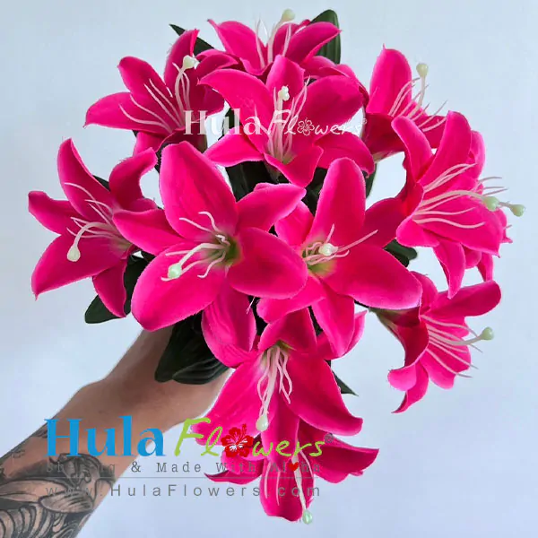 Silk Lily on bush