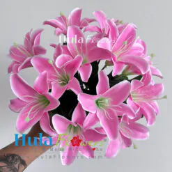 Silk Lily on bush