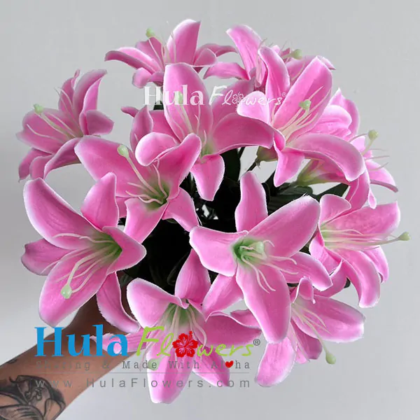 Silk Lily on bush