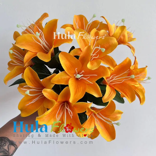 Silk Lily on bush