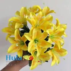Silk Lily on bush