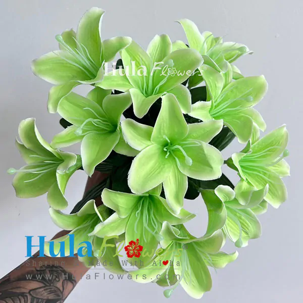 Silk Lily on bush