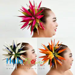 Bird of Paradise hair clip