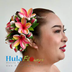 Plumeria & leaves hair clip