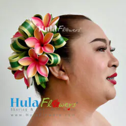 Plumeria & leaves hair clip
