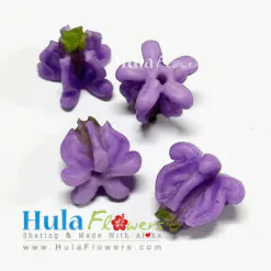 0.5” Clay Purple crown flower
