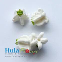 0.5” Clay White crown flower