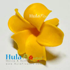 1” Clay Pua Kenikeni