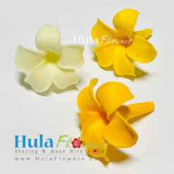 1” Clay Pua Kenikeni