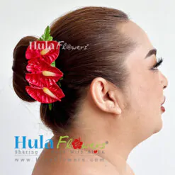 Anthurium hair clips (S)