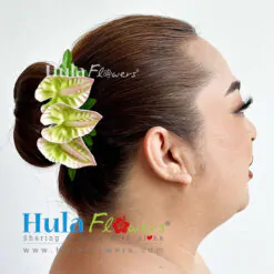 Anthurium hair clips (S)
