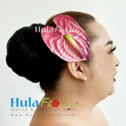 Anthurium hair clips (L)
