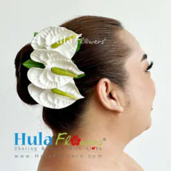 Anthurium hair clips (M)