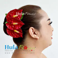 Anthurium hair clips (M)