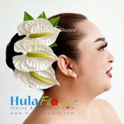 Anthurium hair clips (L)