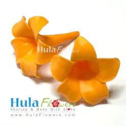 1.5” Clay Pua Kenikeni