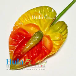 3.5" Foam Anthurium - # 07