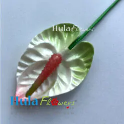 2.5" Foam Anthurium - # 09