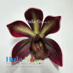 2.5” Foam Cymbidium Orchid