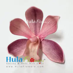 2.5” Foam Cymbidium Orchid