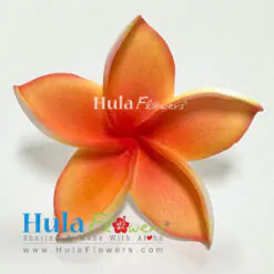 2.5” Foam plumeria