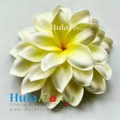 4” Double-Layer Plumeria