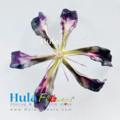 5” Foam Glory Lily