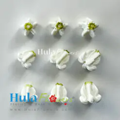 Clay Crown Flower